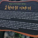 성수왕방힐링마을 | 성수면 왕방 숲길 걷기