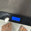 6전(육전) | 강남라인한의원 [식욕참는법 강남슬림환] 본식 D-Day 3일 전 6주차 후기!