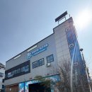 킹 태권도장 | 천안 신방동 [하랑이랑] 넓고 깨끗한 실내/야외 애견카페