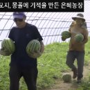 은혜농장2 이미지