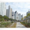 당현천주변 이미지