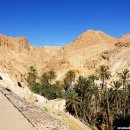 카오아시스 이미지