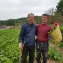 천마총각과 명이처녀