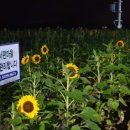 대대서편마을협동조합 이미지