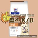 D&K | 힐스 K/D Hills 강아지 신부전 사료, 수의사 후기 &amp; 가격 총정리!