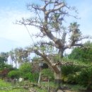 상념의 정원 이미지