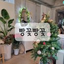 광명사 | [중랑구/사가정] 서울비건빵집 빵꽃빵꽃 계란우유버터 없이 만드는 맛있는 비건빵