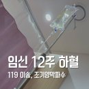 김기환 | 임신 초기 하혈 119이송, 조기양막파수 입원후기