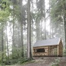 트리하우스 이미지