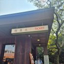 5월 제주 효도여행 &#39;카멜리아힐&#39; 후기(수국, 입장권, 카페, 시간, 제주패스)
