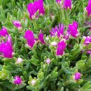 연산중학교 이미지