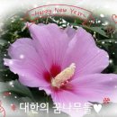 키즈 태권도 현대체육관 이미지