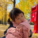 쌍이리귀바위 이미지