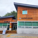 소백산희귀약초 | 240424 설악산 곰배령, 곰배골 야생화 트레킹 후기영상
