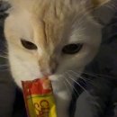 쿨 마 트 | 今日もいい日を過ごしや！