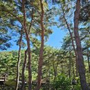 거창 항노화 힐링랜드 | 거창 항노화힐링랜드 우둔산 출렁다리 다녀온 후기