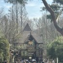 새부리공원 배드민턴장 | 에버랜드 워킹사파리 애니멀톡 새 공연 주말 시간 웨이팅 후기