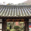 북일기사 이미지