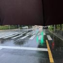 오렌즈강남역점 | 잠실 나들이 | 잠실 한강공원, 석촌호수, 피제리아라고, 진저베어샵