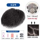 인더스스포츠 이미지