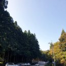 대한다원화장실 이미지