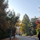 마두공원 이미지