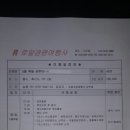 로얄관광여행사