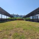 퍼피펜트하우스 이미지