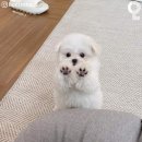 삼성체육관 | 2023 상반기