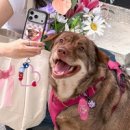 (주)엠투디자인스튜디오 이미지