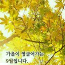 오소 이미지