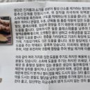 자연과제주 네이버블로그