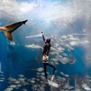 창원실내수영장 건강센터 | 창원프리다이빙 수강 후기｜AIDA 레벨1+2 자격증, 진짜 따봤습니다