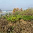 약촌로8길 이미지