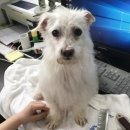 럭키약품 이미지