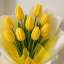 Shirley Bassey - My Way / You'll Never Walk Alone 외1 이미지