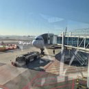 대천환승정류장 | [제주여행]제주동쪽 3박 4일 뚜벅이여행 DAY 1 용눈이오름/온평