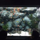 제2롯데월드 아쿠아리움 다녀왔네요 이미지