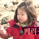 생포탄 이미지