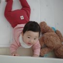 싼타세탁 이미지