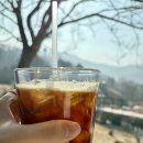 카페융가비 이미지