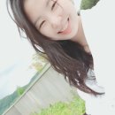 까미노데플로레스타2 이미지