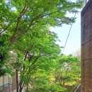 2024 토요키즈클래식 5월 이미지