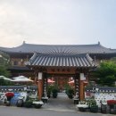 자미궁 티스토리