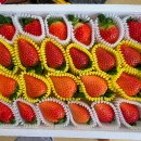 경기도 수원시 팔달구 아주로, 월드컵로 이미지