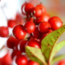 (주)영원 이미지