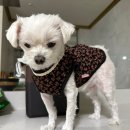 멈무들 | 코엑스 BYC 팝업 / 멈무 겨울 옷 장만한 날, 개리아스 김장조끼 후기