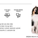 리움동물의료센터 이미지