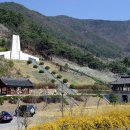 작원관지 이미지