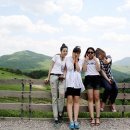 성희목장 이미지